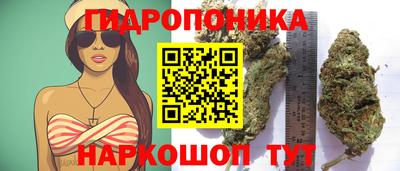 твердый Гатчина