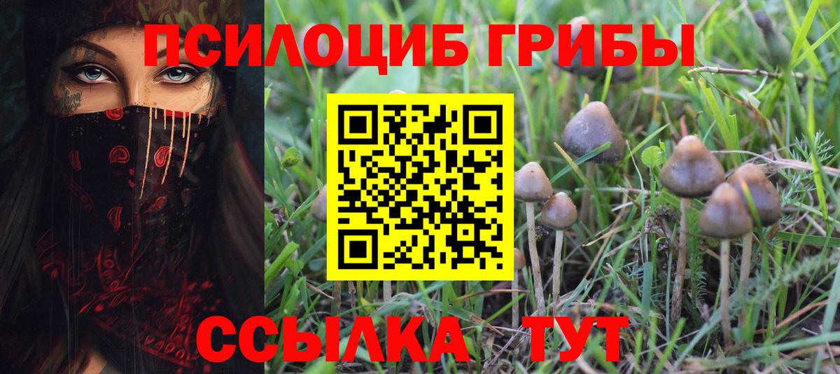 Галлюциногенные грибы мицелий  Псилоцибиновые грибы GOLDEN TEACHER  Обнинск  Вход с VPN 